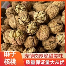 云南麻子核桃新疆核桃纸皮核桃皮薄肉厚跑江湖地摊批发