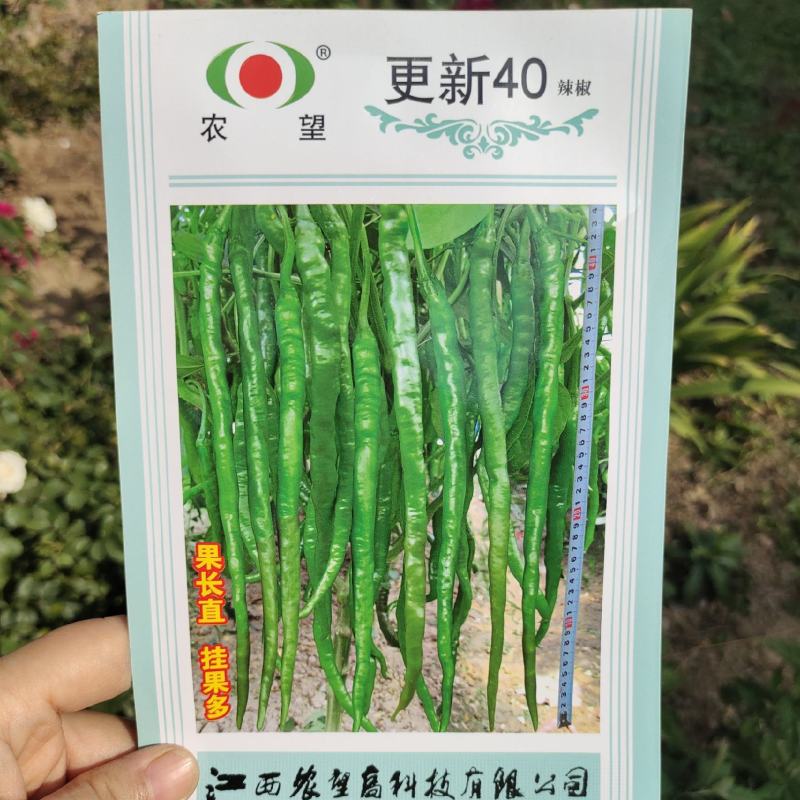 农望更新40线椒种子超辣高产辣椒长四季辣椒种籽盆栽蔬菜种
