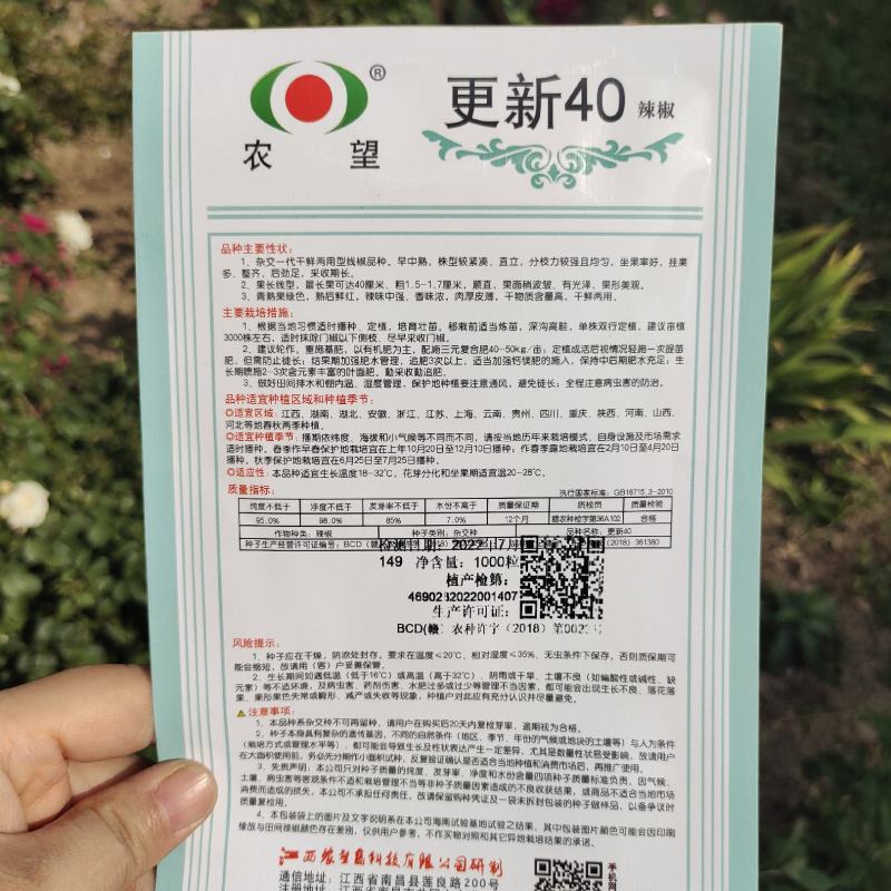 农望更新40线椒种子超辣高产辣椒长四季辣椒种籽盆栽蔬菜种