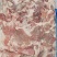 肥猪五五