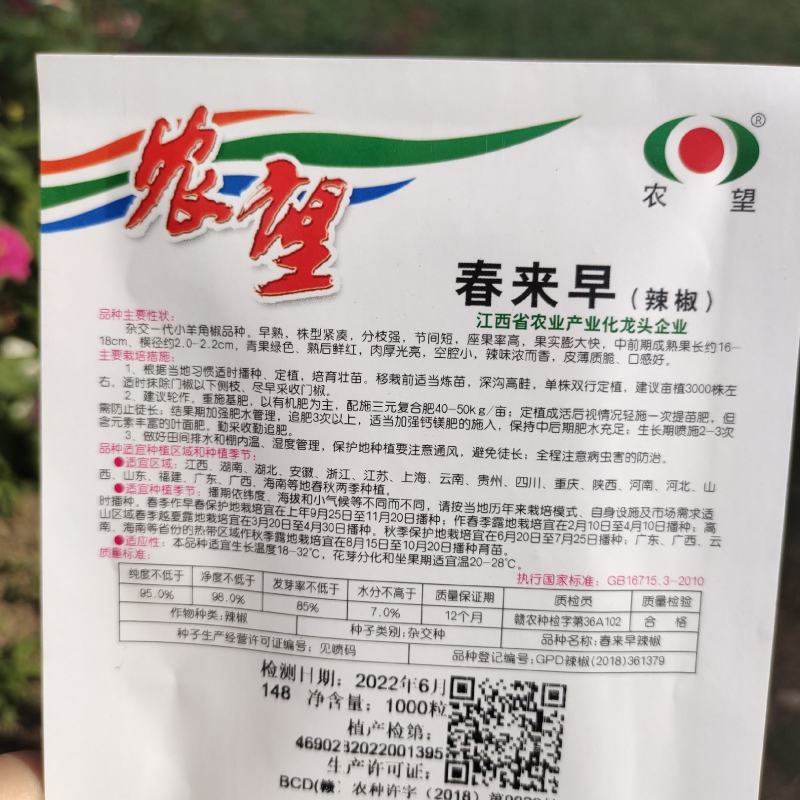 春来早羊角椒种子香辣杭椒口感好薄皮早熟高产大田春秋播辣椒