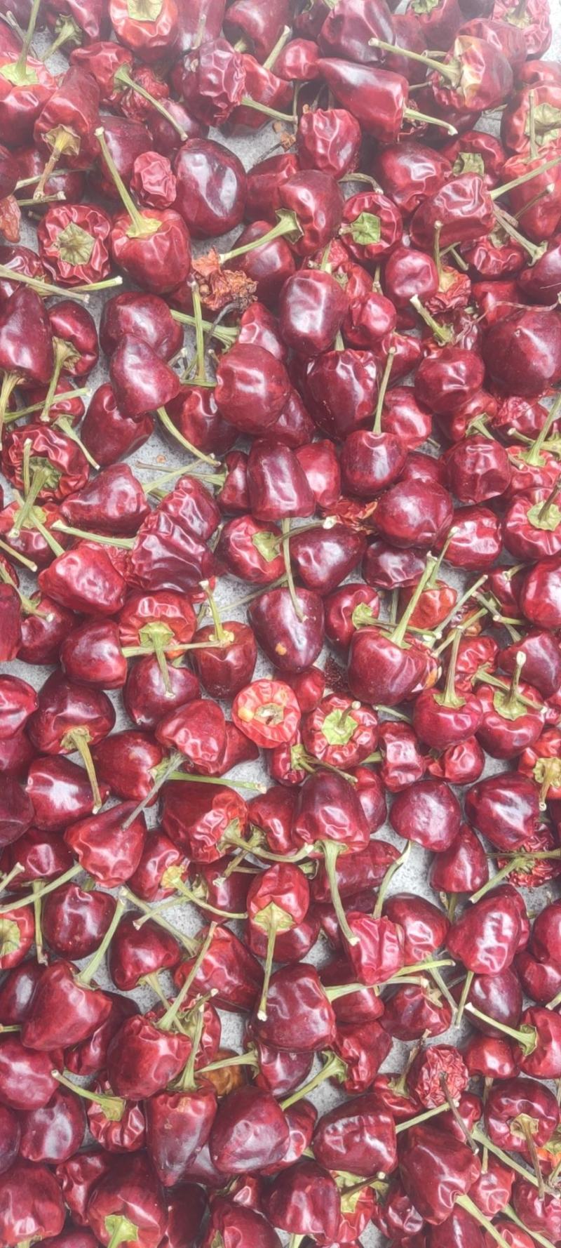 草莓椒，常年供应贵州辣椒，收售辣椒