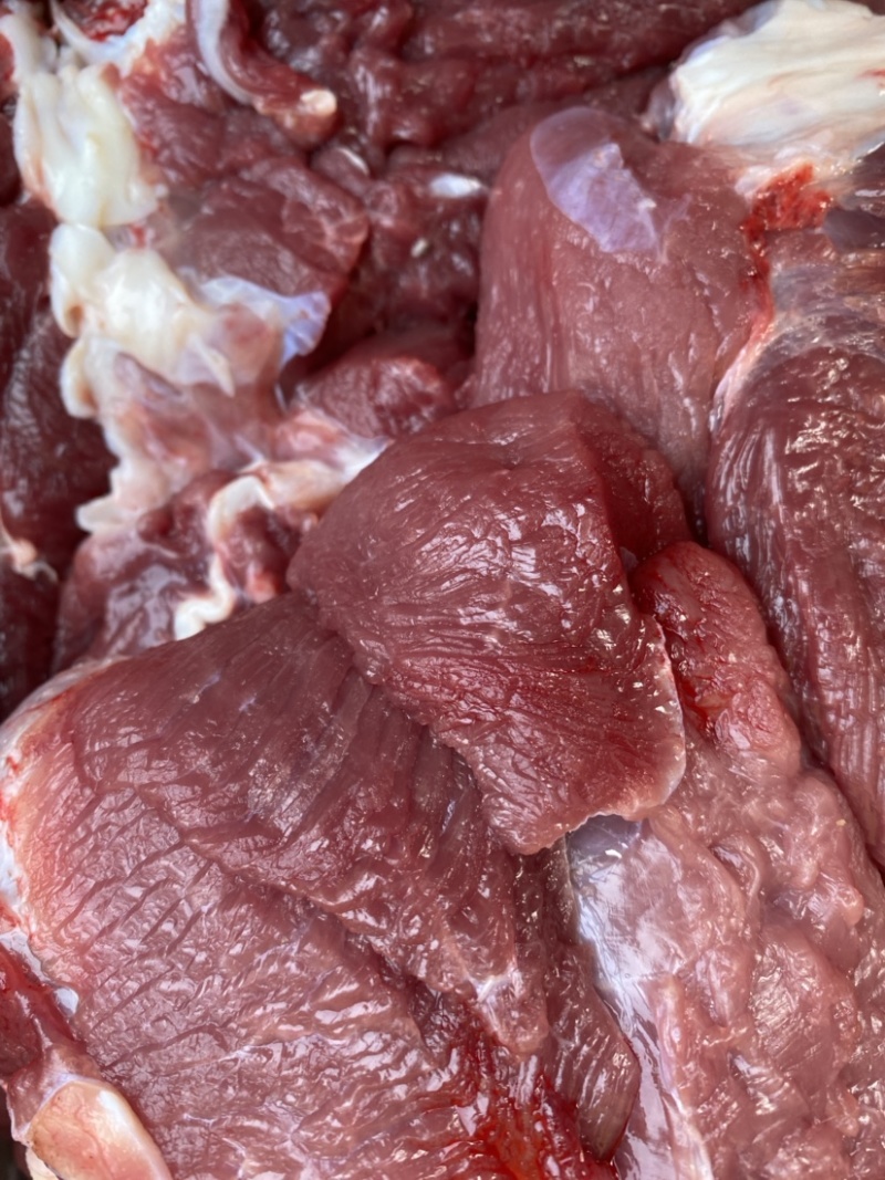 精品乳牛肉，厂家直发，品质保障，一手货源，欢迎选购。