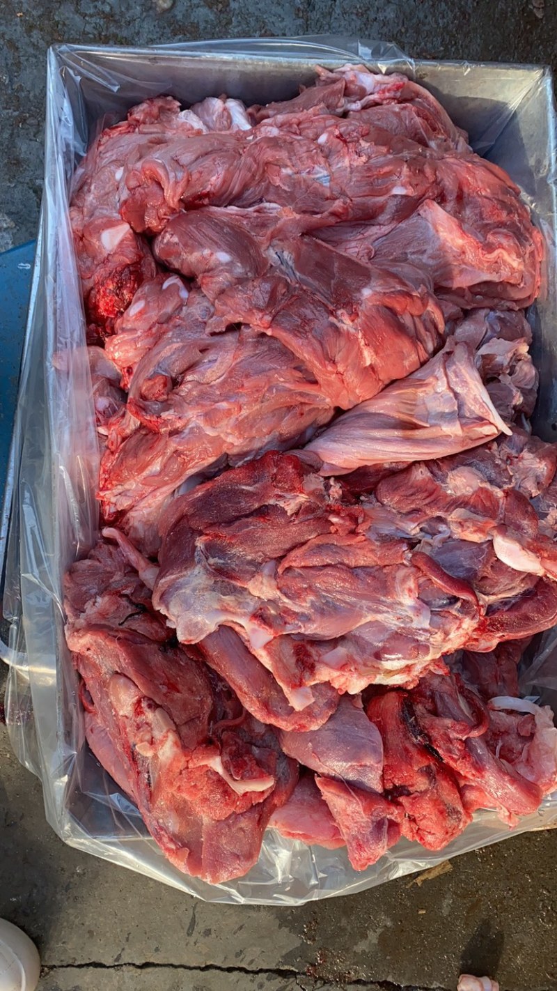 精品乳牛肉，厂家直发，品质保障，一手货源，欢迎选购。