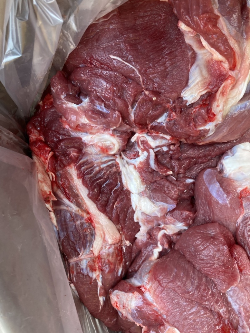 精品乳牛肉，厂家直发，品质保障，一手货源，欢迎选购。