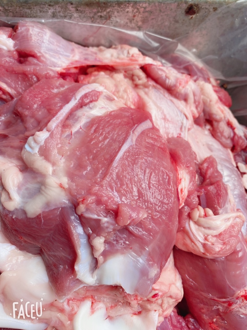 精品乳牛肉，厂家直发，品质保障，一手货源，欢迎选购。