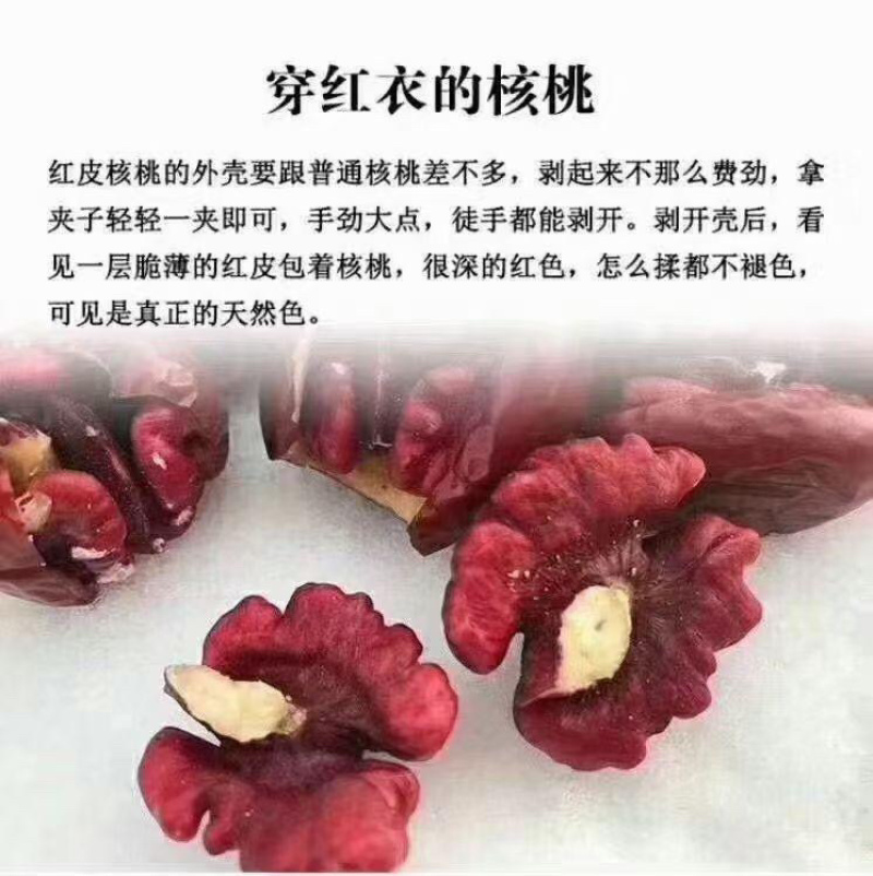 新厂家直发红衣核桃新疆薄皮核桃红衣核桃（支持一件代发）