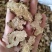 苍术，苍术片，家种苍术，无硫不加重，白茬，带点，一手货源