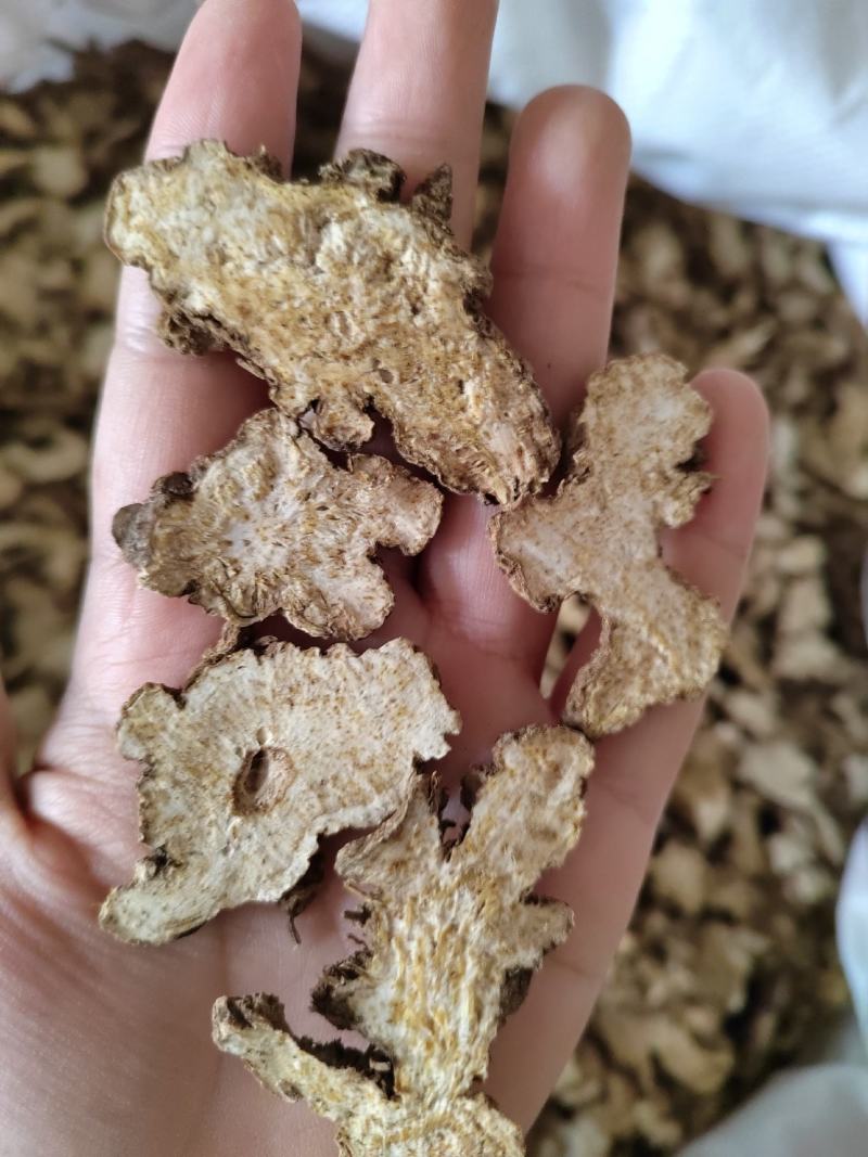 苍术，苍术片，家种苍术，无硫不加重，白茬，带点，一手货源
