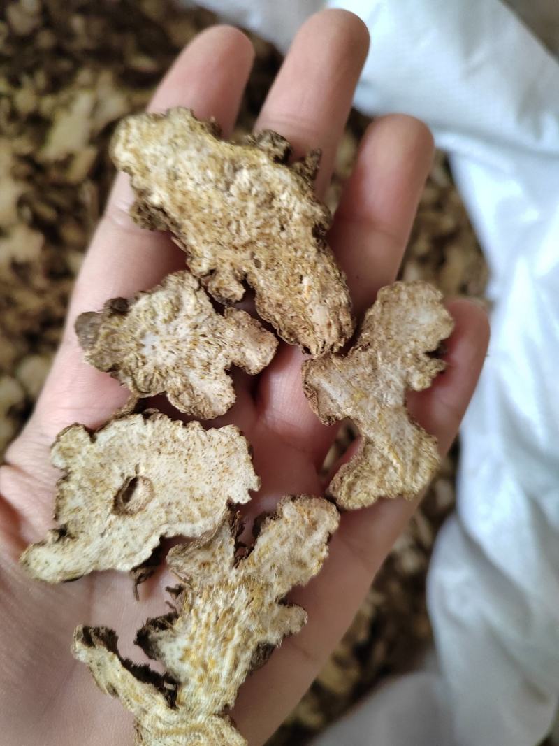 苍术，苍术片，家种苍术，无硫不加重，白茬，带点，一手货源