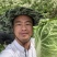 夏阳白菜/秋宝白菜/夏辉白菜/江苏夏阳菜/基地大量供应