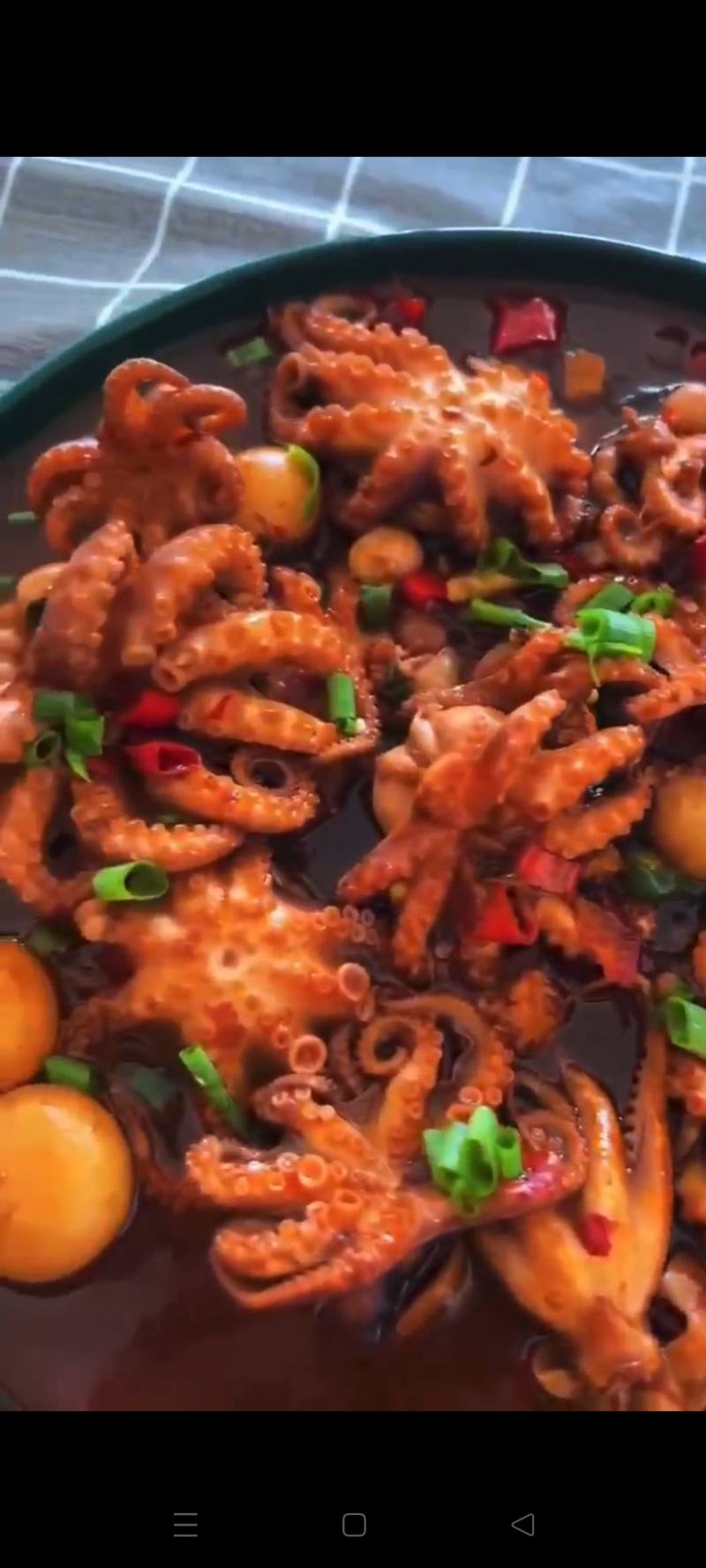 #半熟迷你八爪鱼#去内脏#不缩水