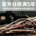 雁荡山水果树上近野生铁皮石斛鲜条欢迎咨询，量大从优