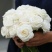 白色玫瑰花坦尼克白雪公主大花浓香切花月季花苗四季开花