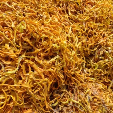 老农民柿子皮，饲料原料，营养成分高，糖分甲酸钠都有