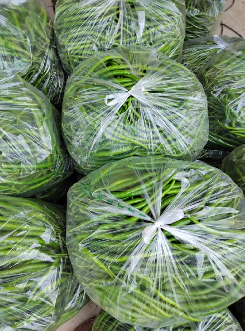 砀山精品线椒菜面干净鲜亮无虫眼颜色正个头均匀