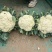 河北有机菜花大量上市小米花白花松散度好价格优惠