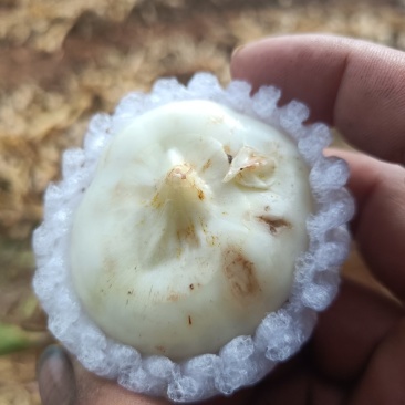 这种方式打包质量没有问题