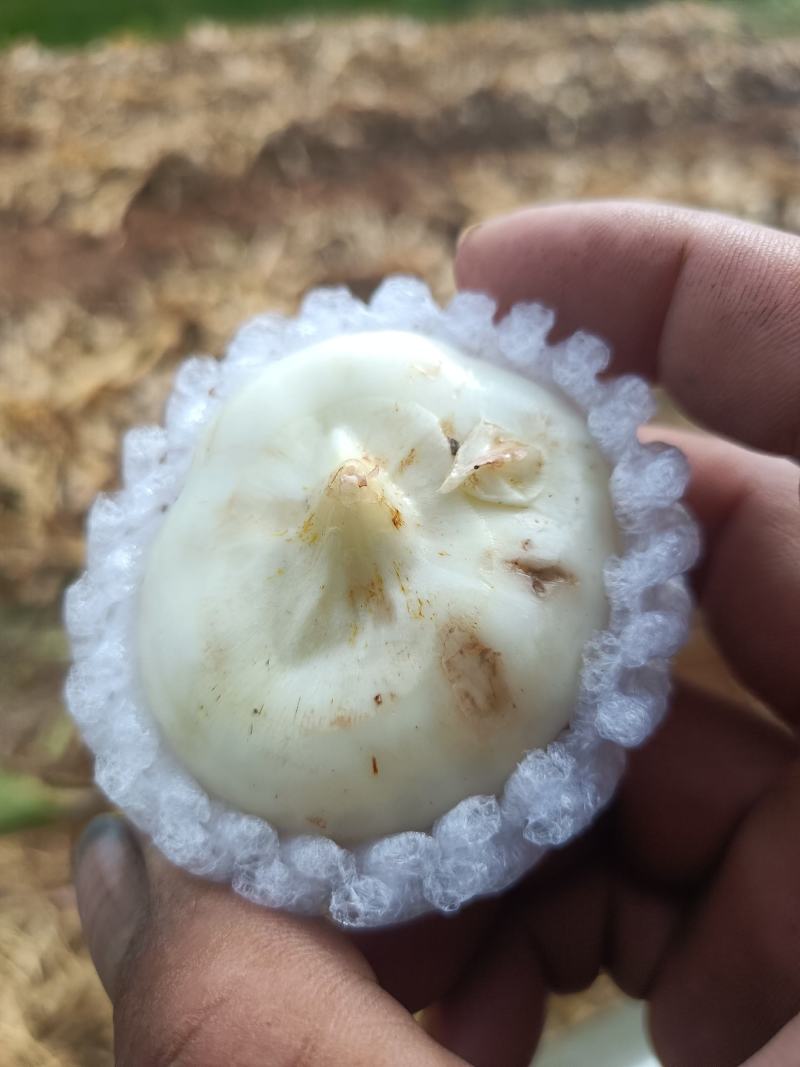 这种方式打包质量没有问题