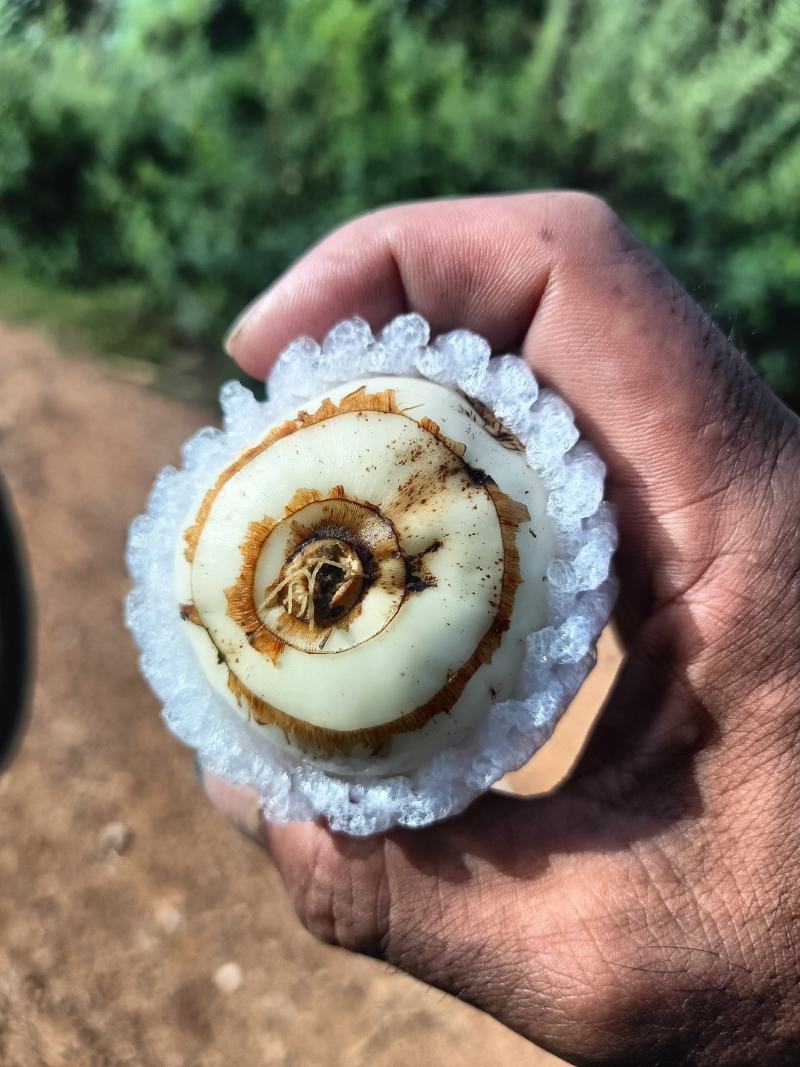 这种方式打包质量没有问题