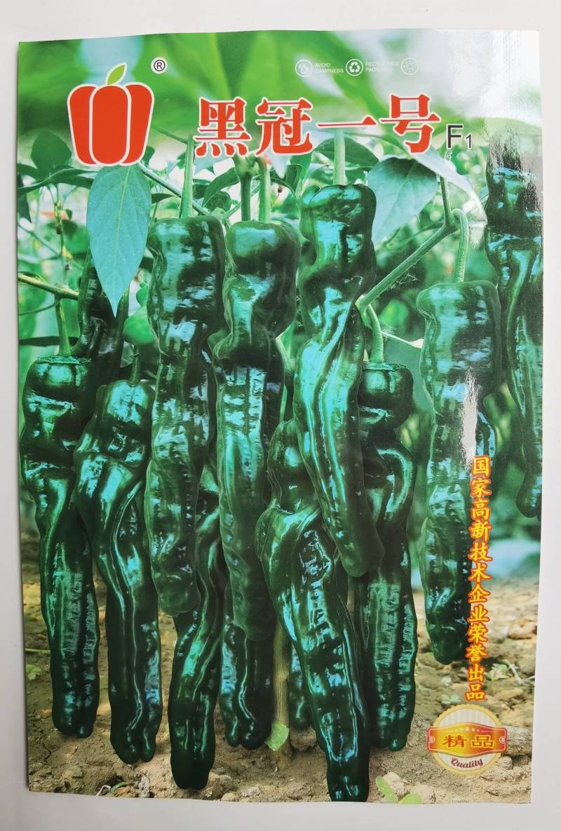 苏润黑冠一号辣椒种子加长皱皱辣薄皮皱皮羊牛角椒黑皮辣椒