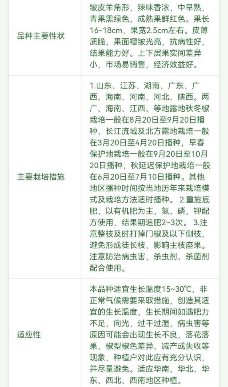 苏润黑冠一号辣椒种子加长皱皱辣薄皮皱皮羊牛角椒黑皮辣椒