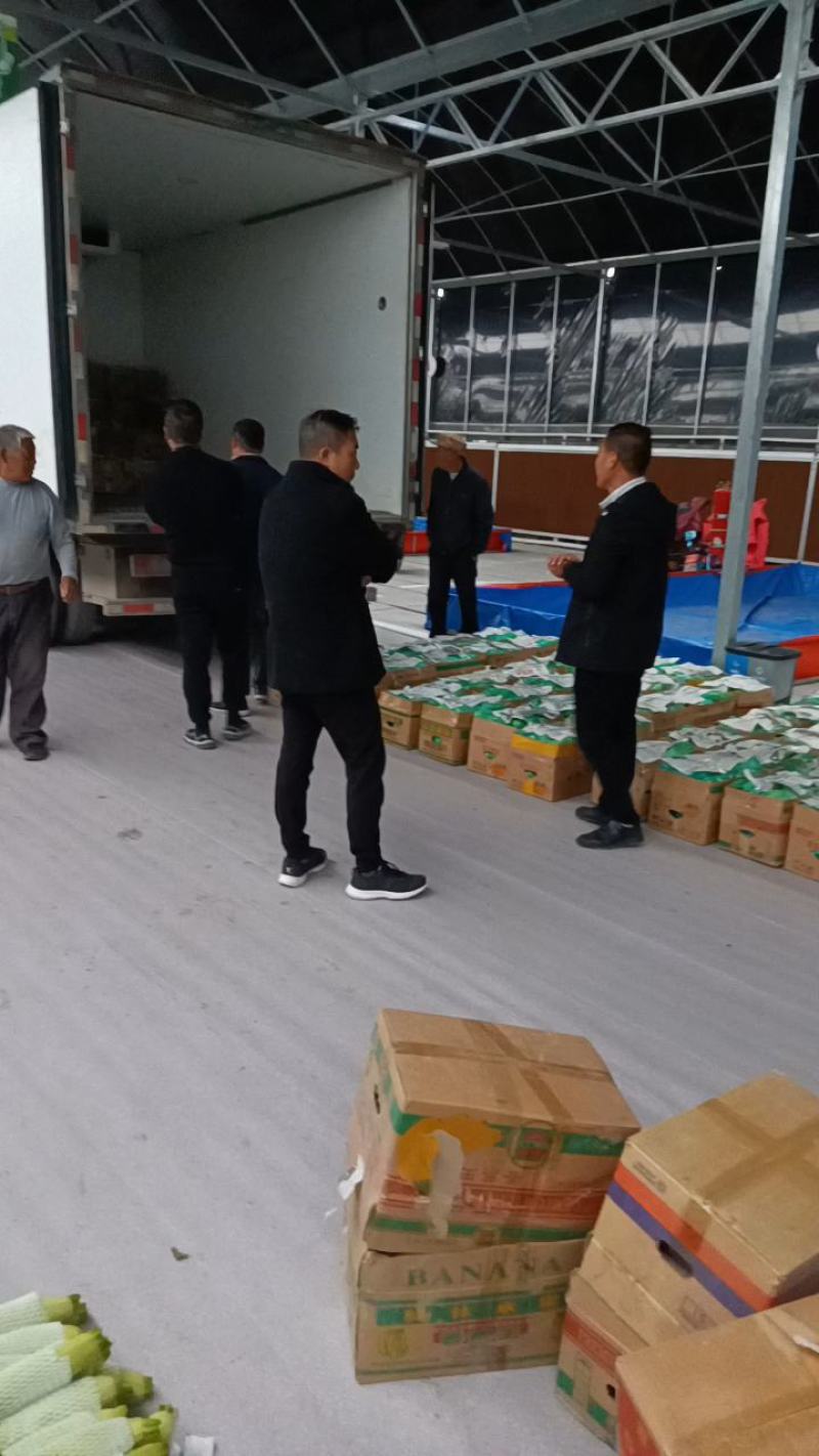 江苏连云港西葫芦种植基地，地头价代发