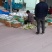 江苏连云港西葫芦种植基地，地头价代发