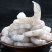 新鲜冷冻大虾仁批发冷冻虾仁青虾批发特级海鲜速冻