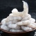 新鲜冷冻大虾仁批发冷冻虾仁青虾批发特级海鲜速冻