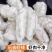 新鲜冷冻大虾仁批发冷冻虾仁青虾批发特级海鲜速冻