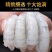 新鲜冷冻大虾仁批发冷冻虾仁青虾批发特级海鲜速冻