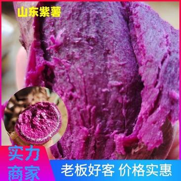 山东紫罗兰紫薯，手选果紫价格便宜，质量保证，低价出售代发