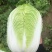 宁夏中宁白菜，品种:玲珑黄，3-6斤，纯黄心矮颗大白菜，