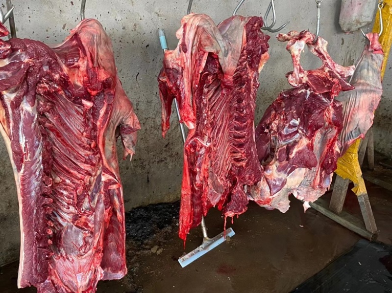 驴肉带皮驴肉山东驴肉驴白条驴副产品