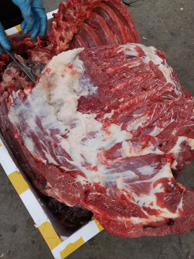 驴肉带皮驴肉山东驴肉驴白条驴副产品
