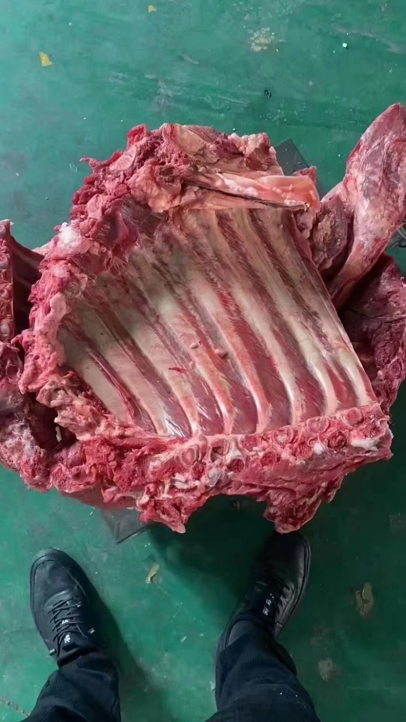 驴肉带皮驴肉山东驴肉驴白条驴副产品
