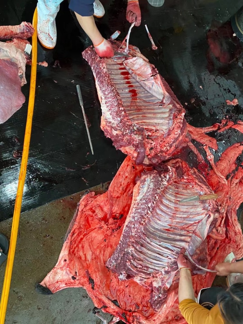 驴肉带皮驴肉山东驴肉驴白条驴副产品