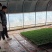 雨旺种植合作社芽苗菜，花生芽，香椿苗，。现场技术服务。