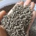 粉防己种子江西地道药材粉防己种子