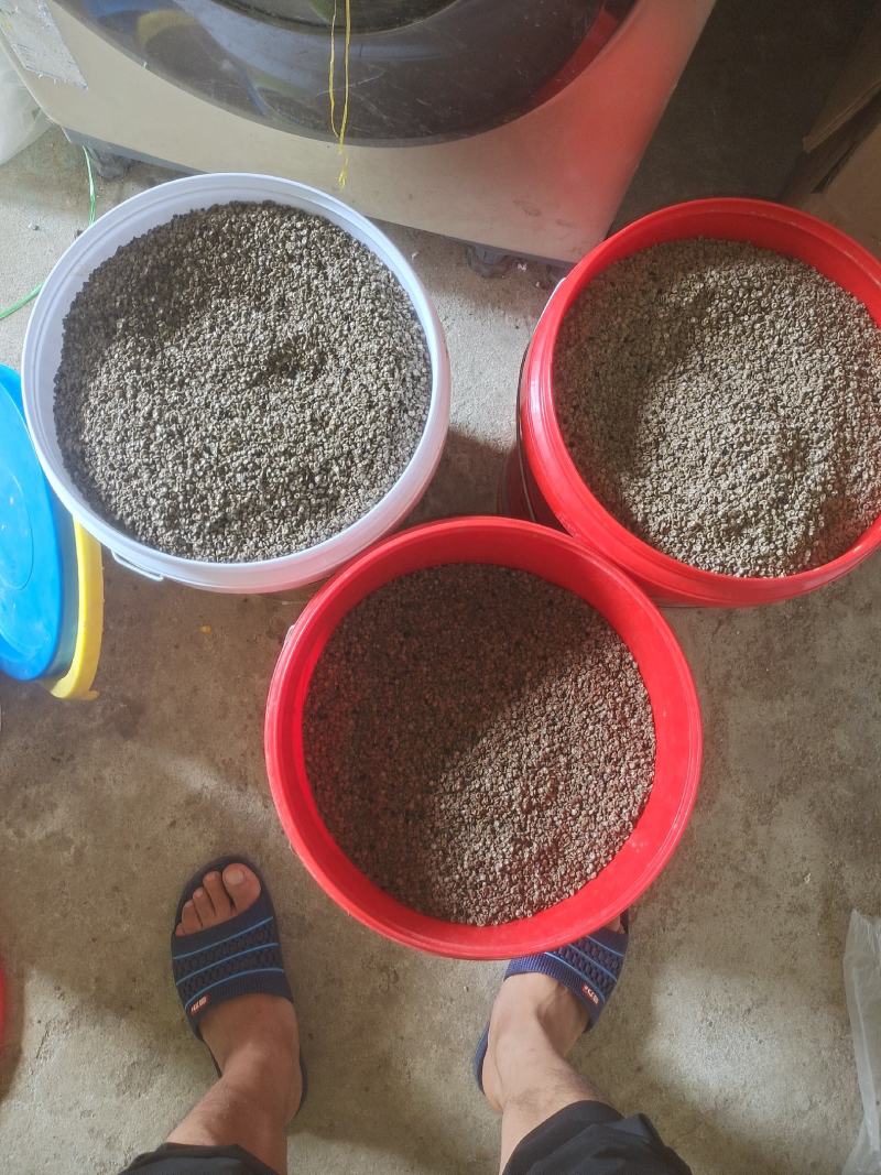 粉防己种子江西地道药材粉防己种子