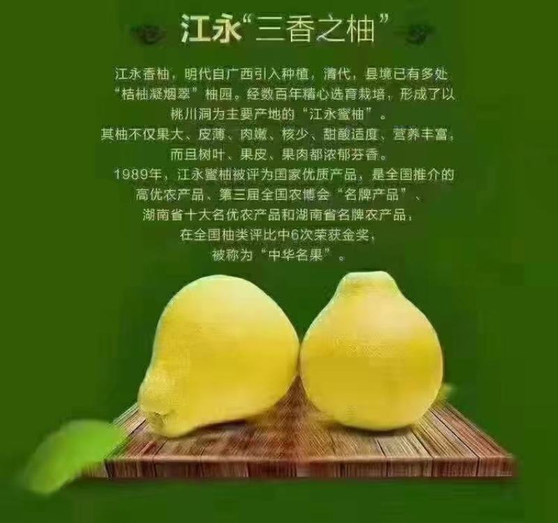 江永粗石江沙田柚#富发果业产地代办点，特点皮薄多汁含糖高