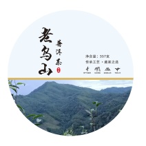 中国，云南，普洱，镇沅，老乌山核心茶区