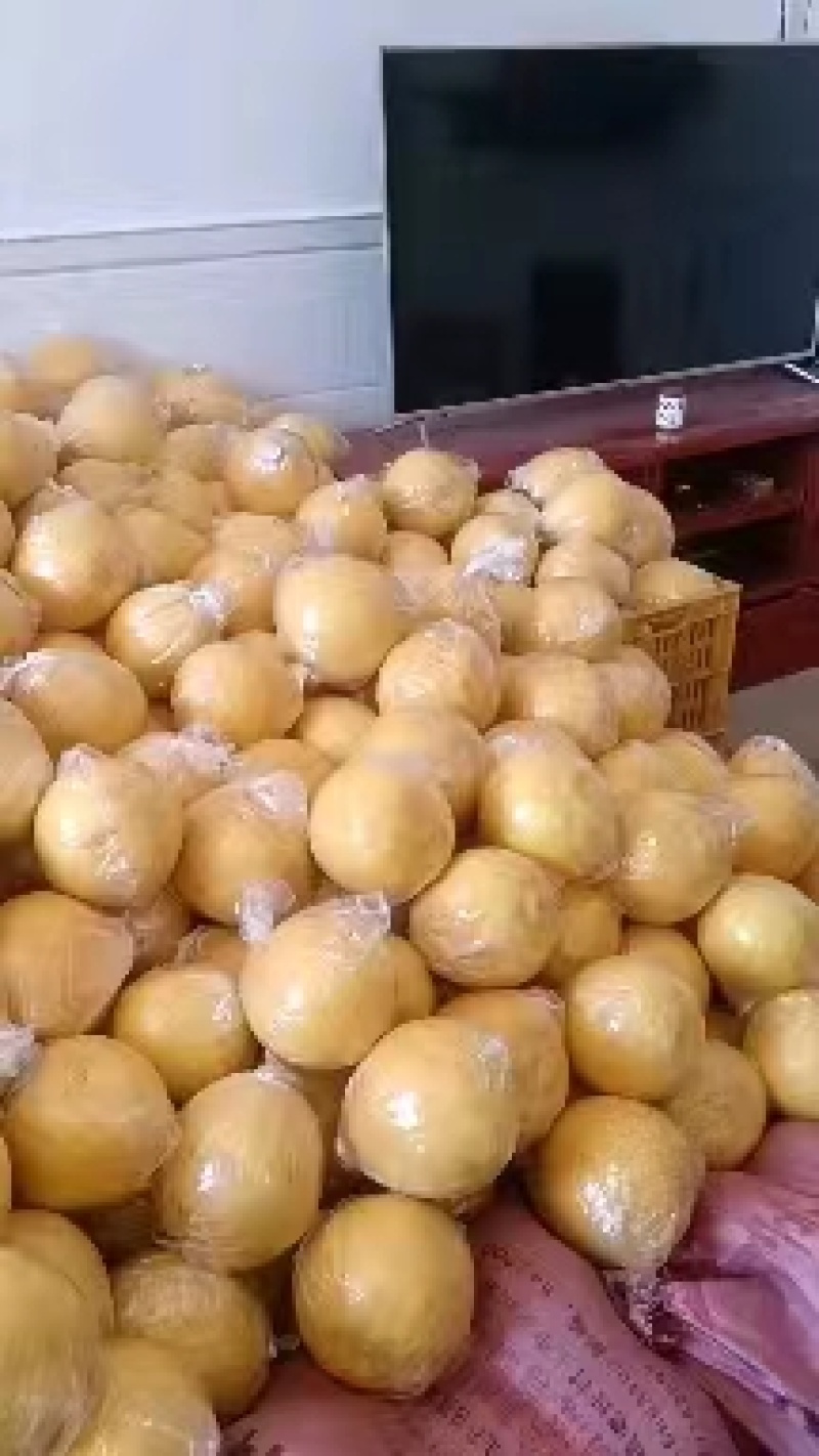 江永粗石江沙田柚#富发果业产地代办点，特点皮薄多汁含糖高