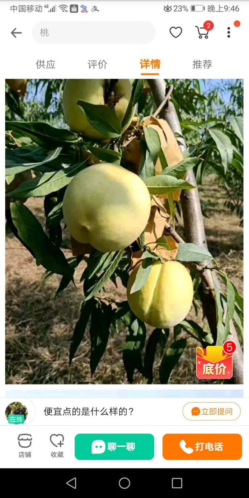 十月甜蜜冬桃，甜度高，果面好，个头大，现货自己家种的，