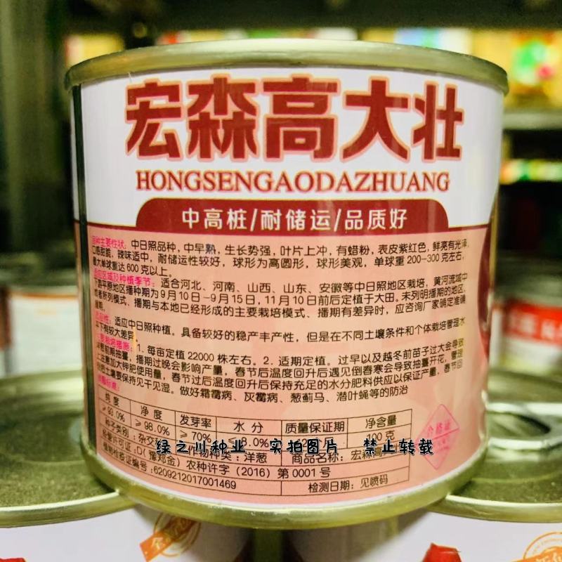欧兰德宏森高大壮紫红皮洋葱种子基地专用高圆形洋葱种子