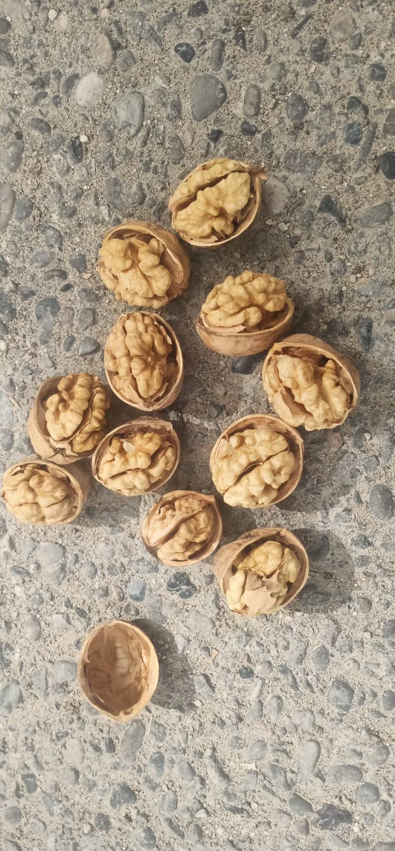 185尖普头路，二路，三路，普白头路