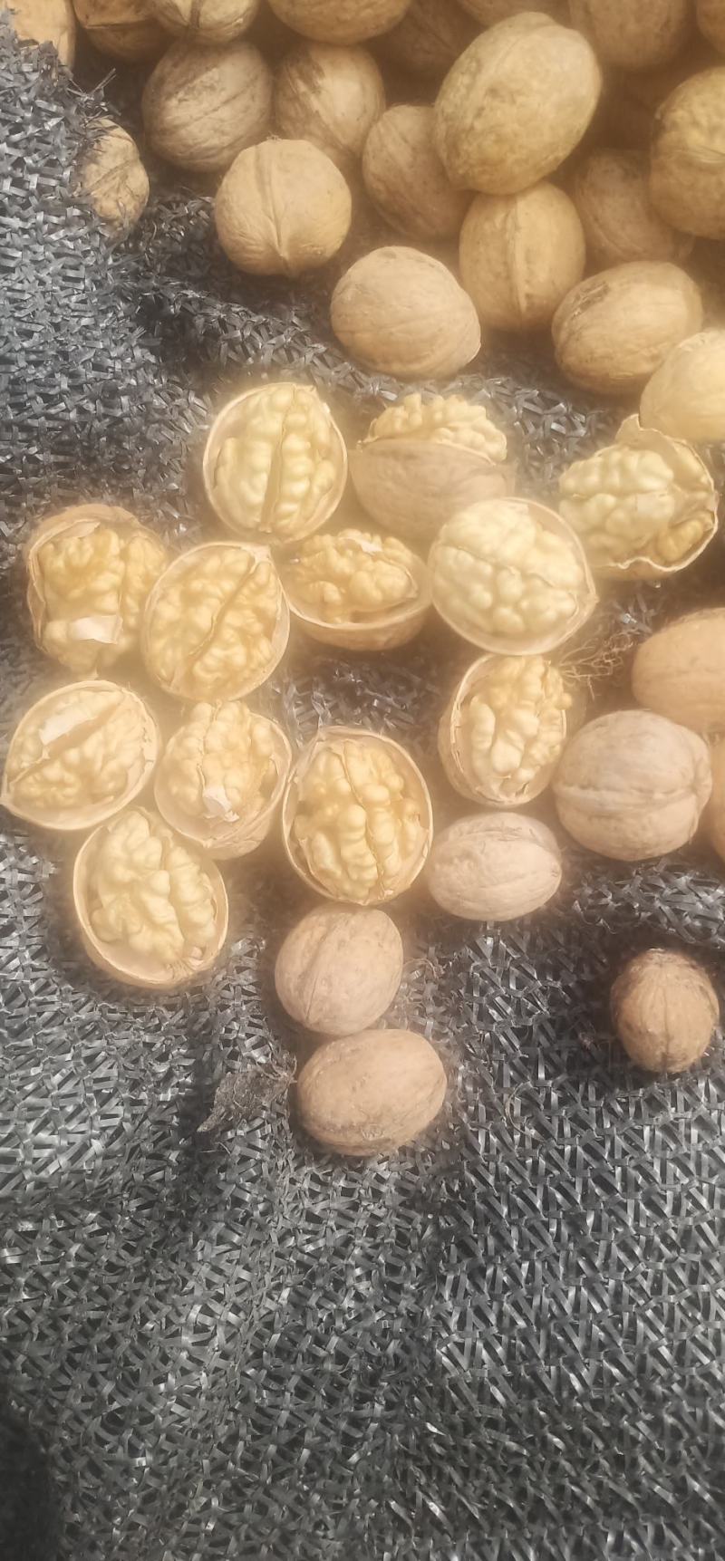 185尖普头路，二路，三路，普白头路