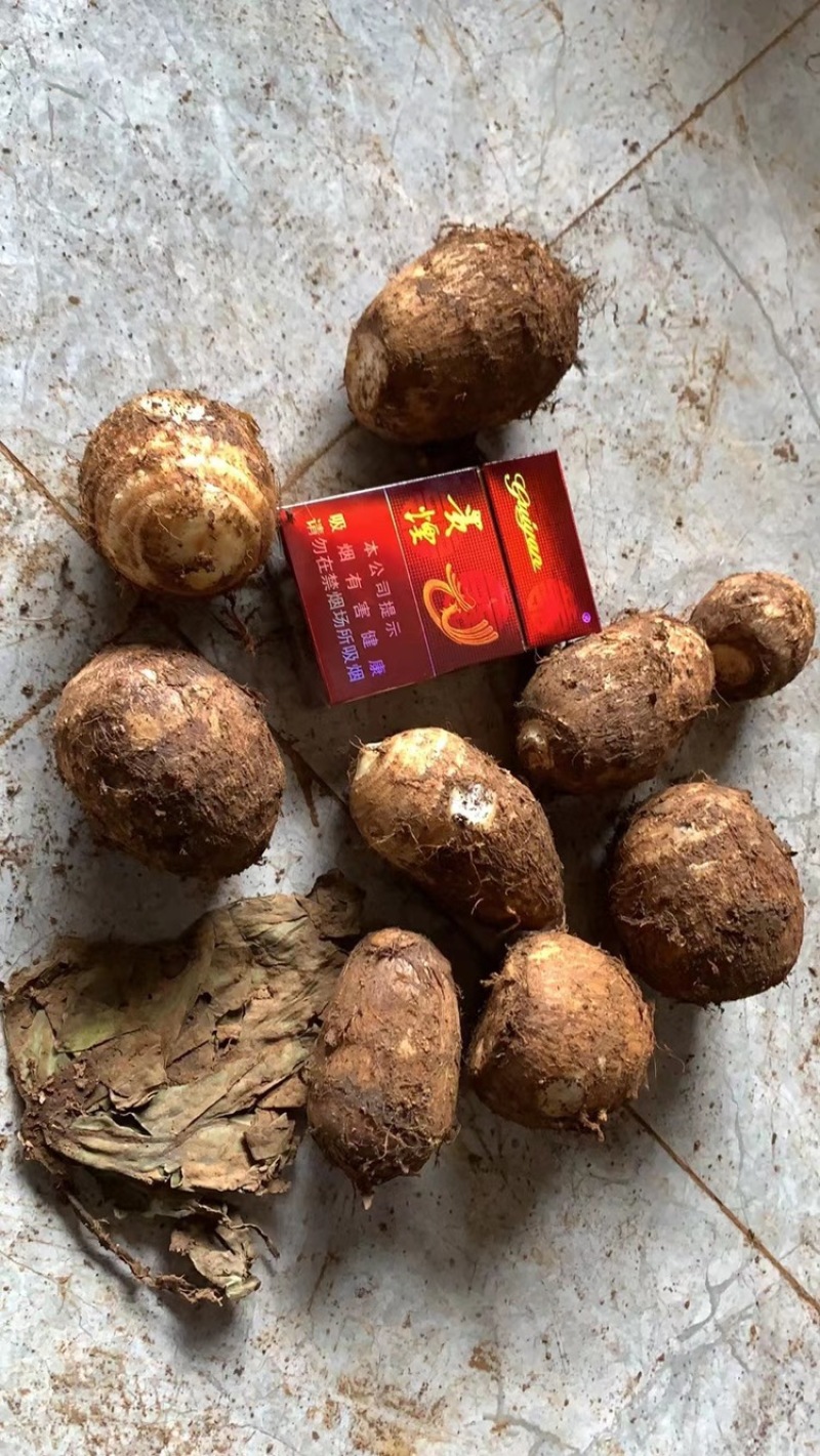 精品芋头