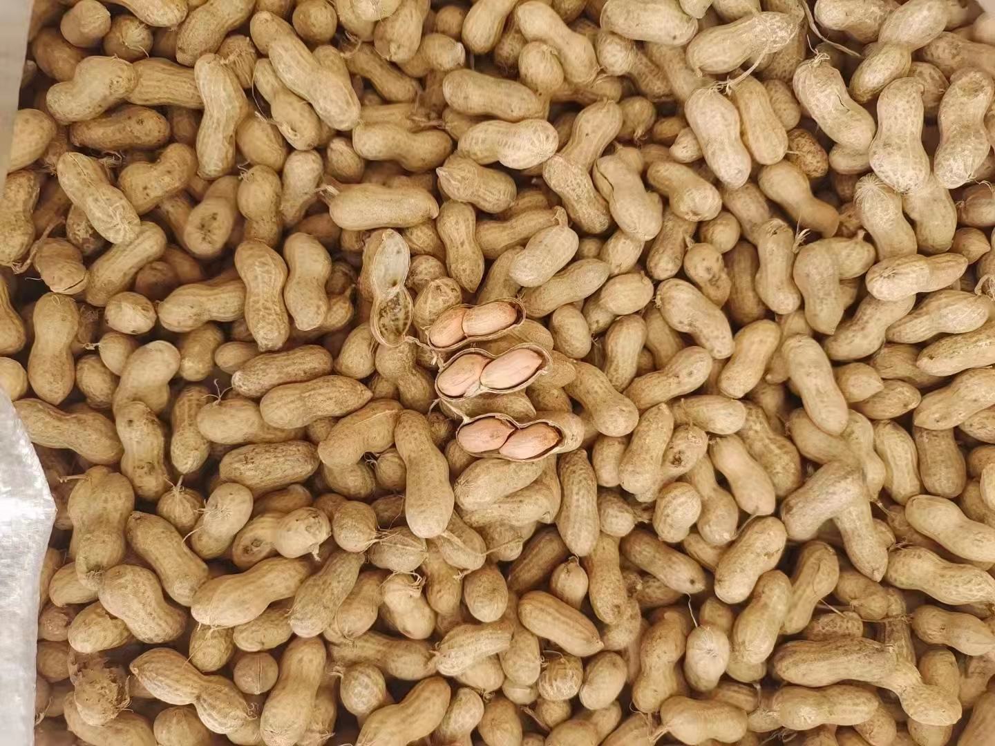 花生营养成分图